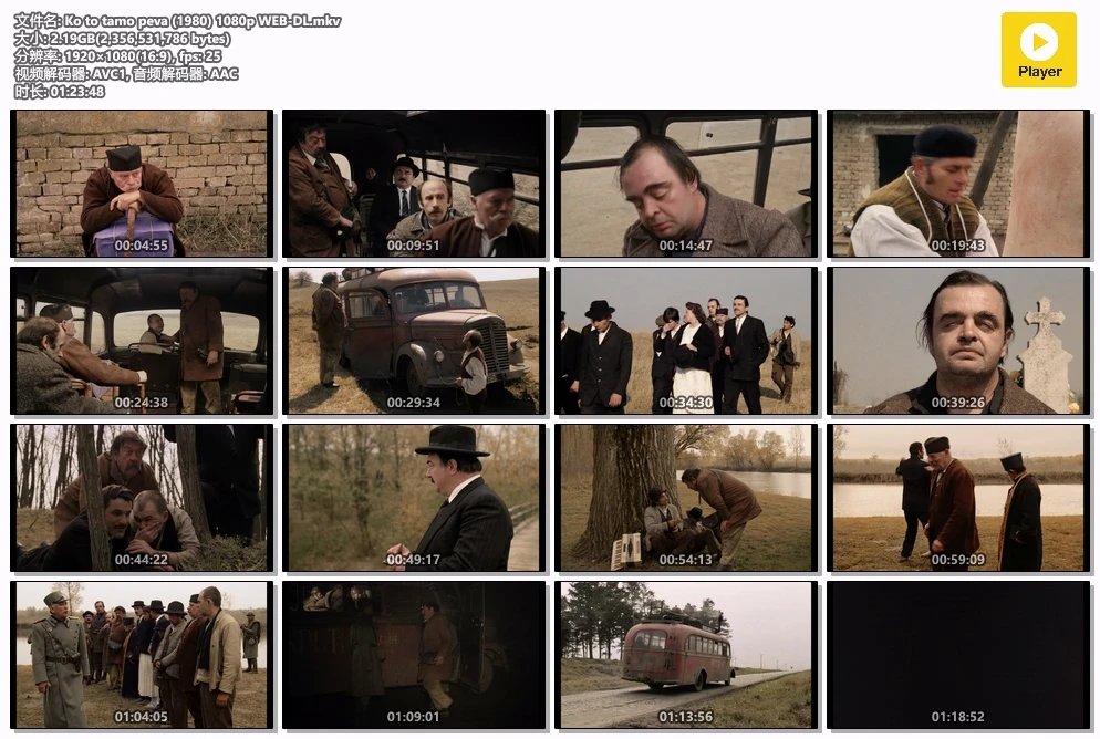 Ko to tamo peva (1980) 1080p WEB-DL.mkv.webp