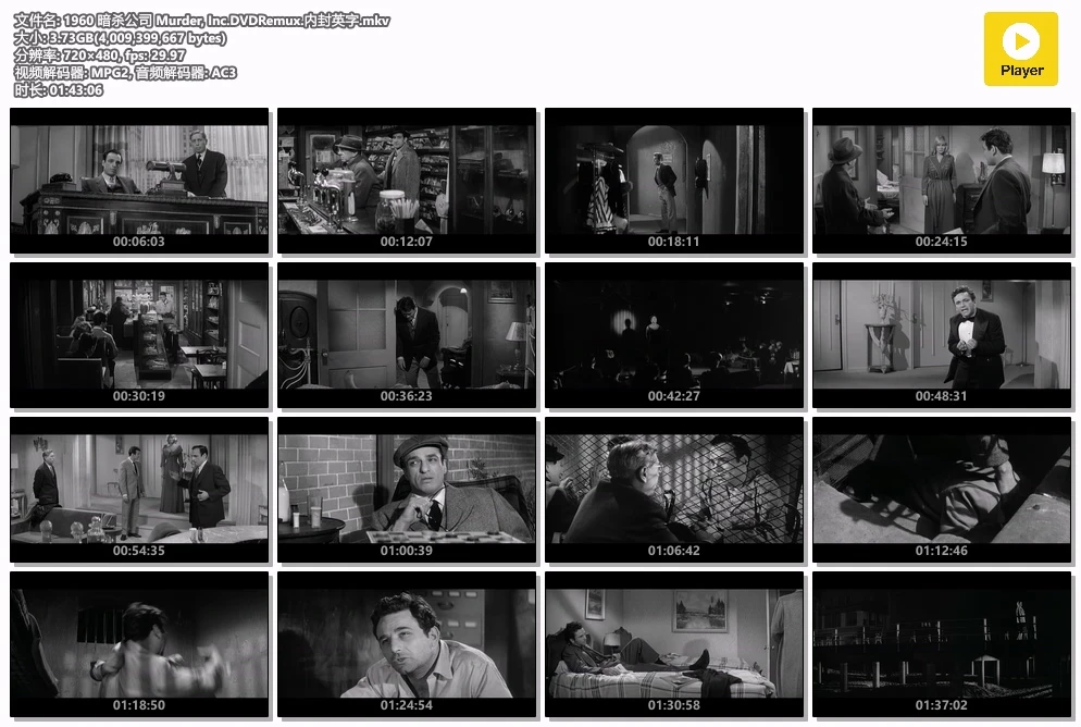 1960 暗杀公司 Murder, Inc.DVDRemux.内封英字.mkv.webp