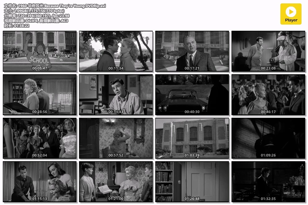 1960 华府风光 Because They're Young.DVDRip.avi.webp