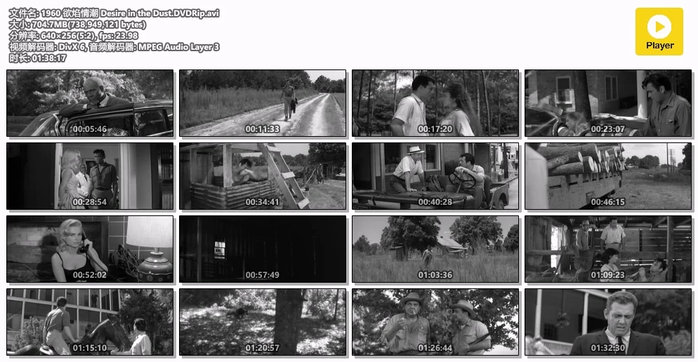 1960 欲焰情潮 Desire in the Dust.DVDRip.avi.webp