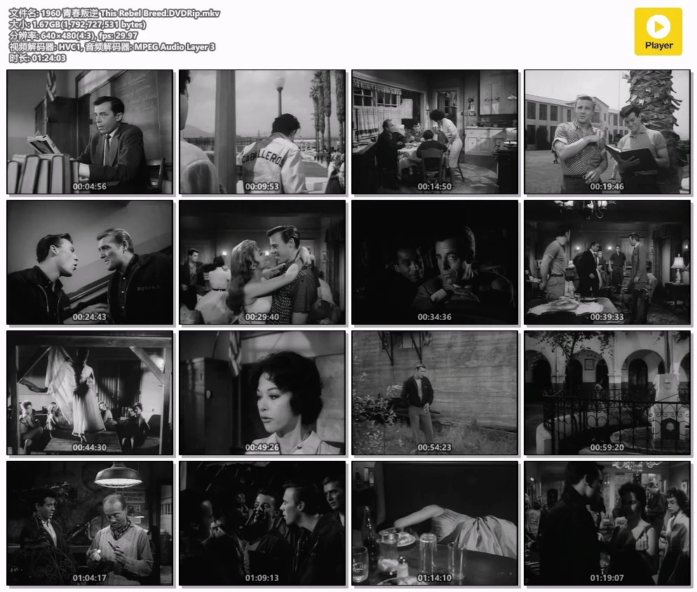 1960 青春叛逆 This Rebel Breed.DVDRip.mkv.webp