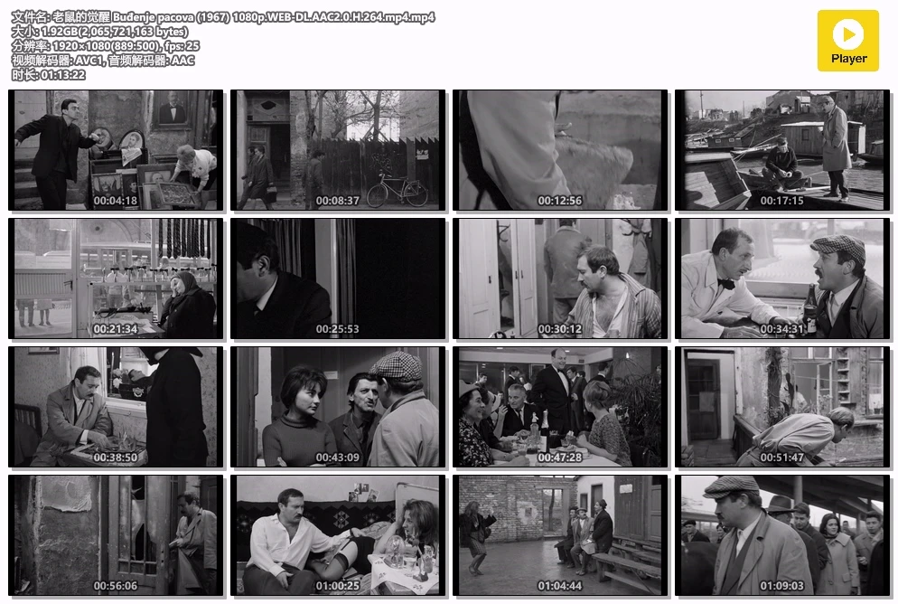 老鼠的觉醒 Buđenje pacova (1967) 1080p.WEB-DL.AAC2.0.H.264.mp4.mp4.webp