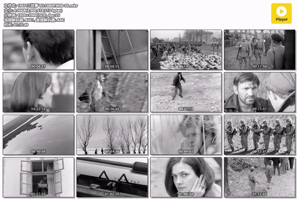 1965 三故事 Tri.1080P.WEB-DL.mkv.webp