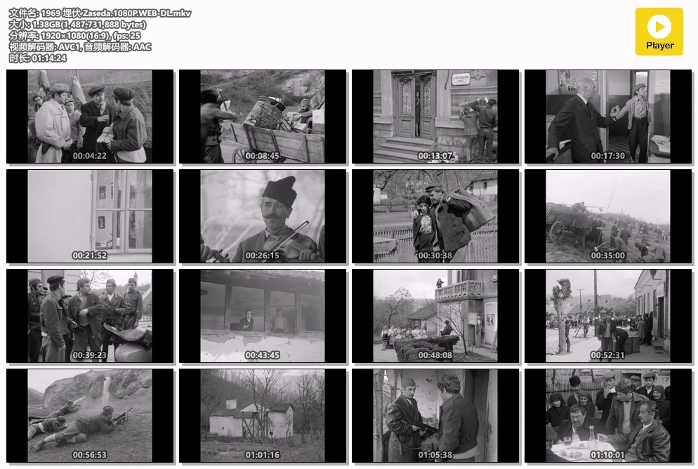 1969 埋伏 Zaseda.1080P.WEB-DL.mkv.webp