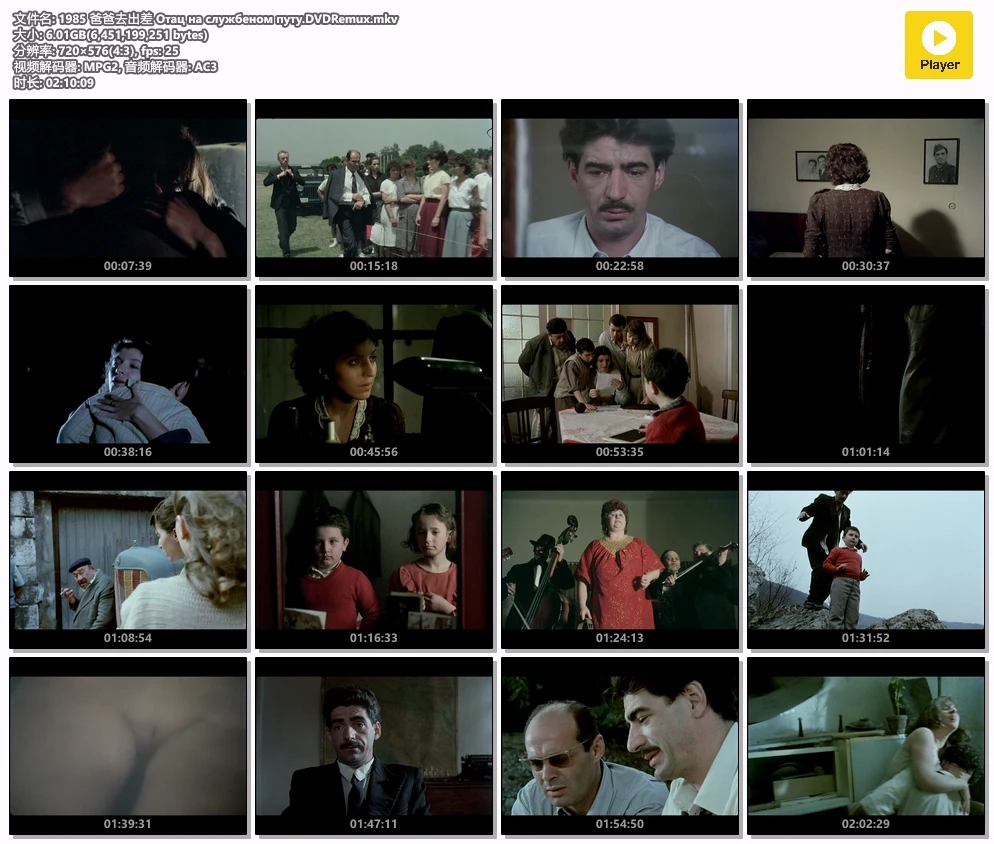 1985 爸爸去出差 Отац на службеном путу.DVDRemux.mkv.webp