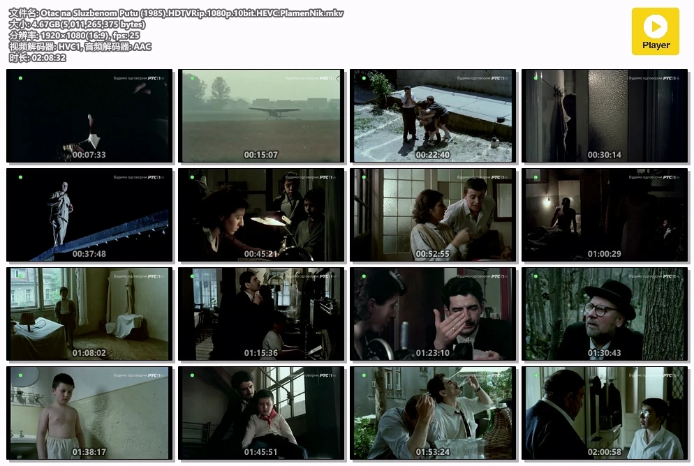 Otac na Sluzbenom Putu (1985).HDTVRip.1080p.10bit.HEVC.PlamenNik.mkv.webp