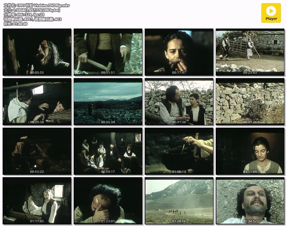 1991 祈盼 Virdzina.DVDRip.mkv.webp