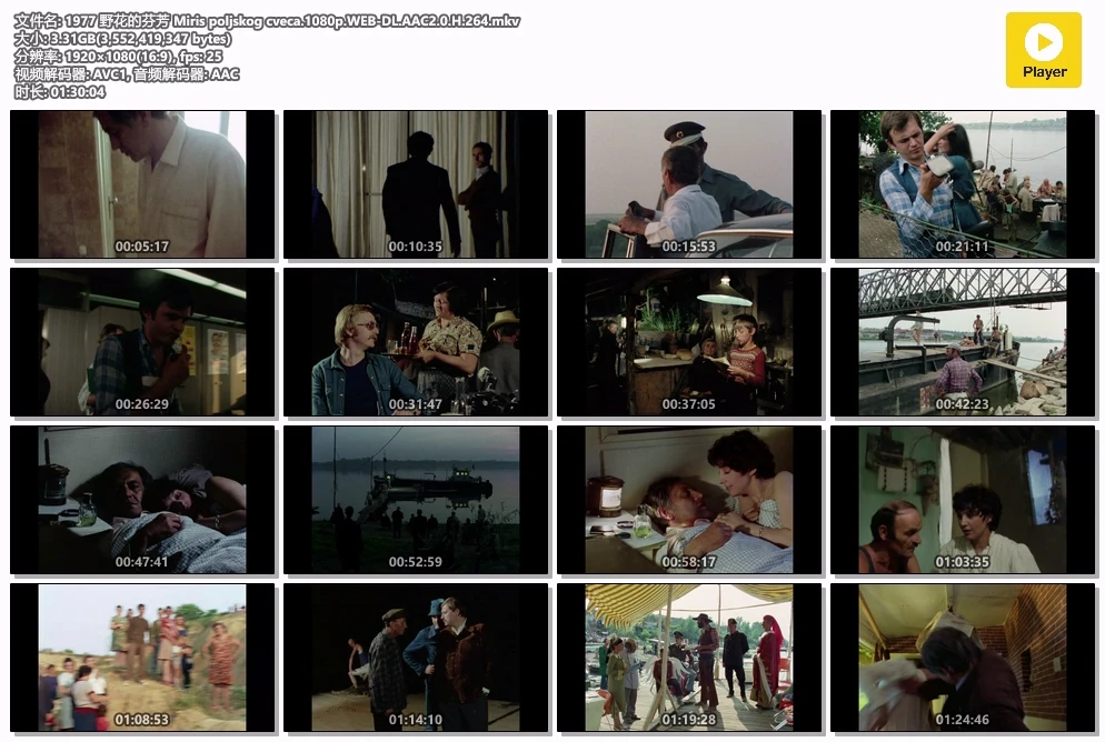 1977 野花的芬芳 Miris poljskog cveca.1080p.WEB-DL.AAC2.0.H.264.mkv.webp