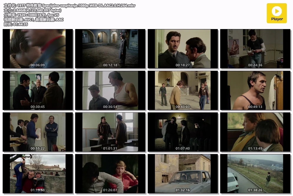 1977 特殊教育 Specijalno vaspitanje.1080p.WEB-DL.AAC2.0.H.264.mkv.webp