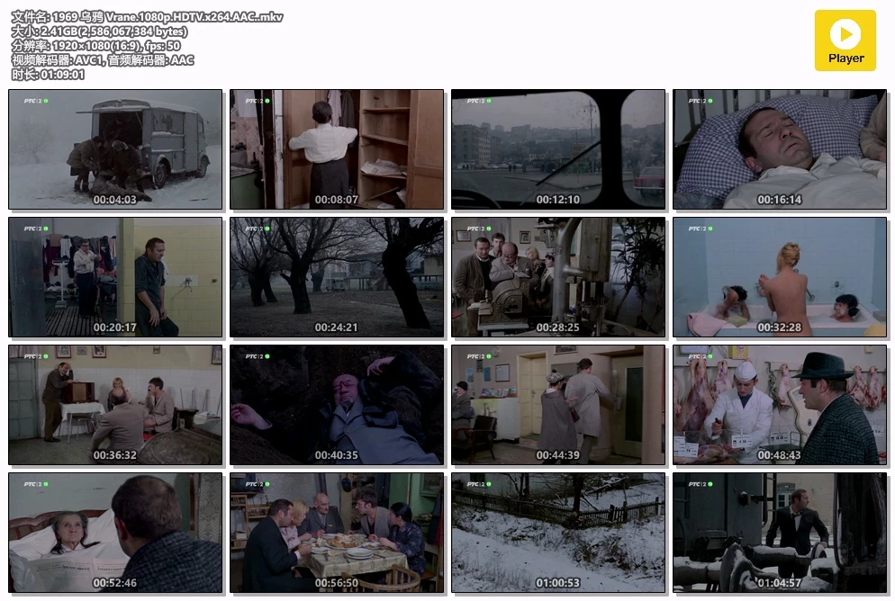 1969 乌鸦 Vrane.1080p.HDTV.x264.AAC..mkv.webp