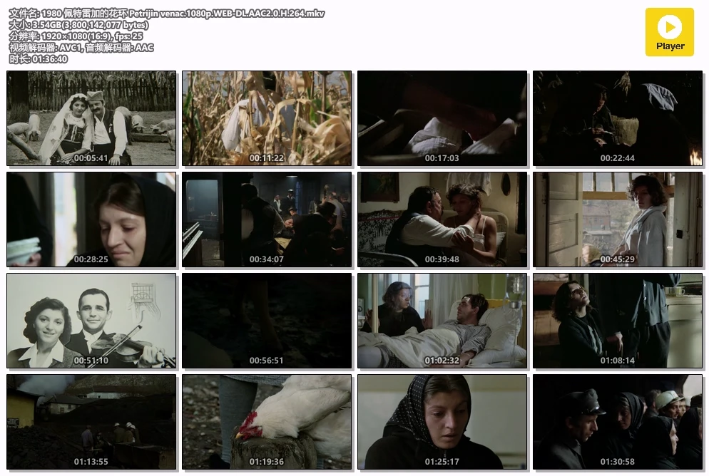 1980 佩特雷加的花环 Petrijin venac.1080p.WEB-DL.AAC2.0.H.264.mkv.webp