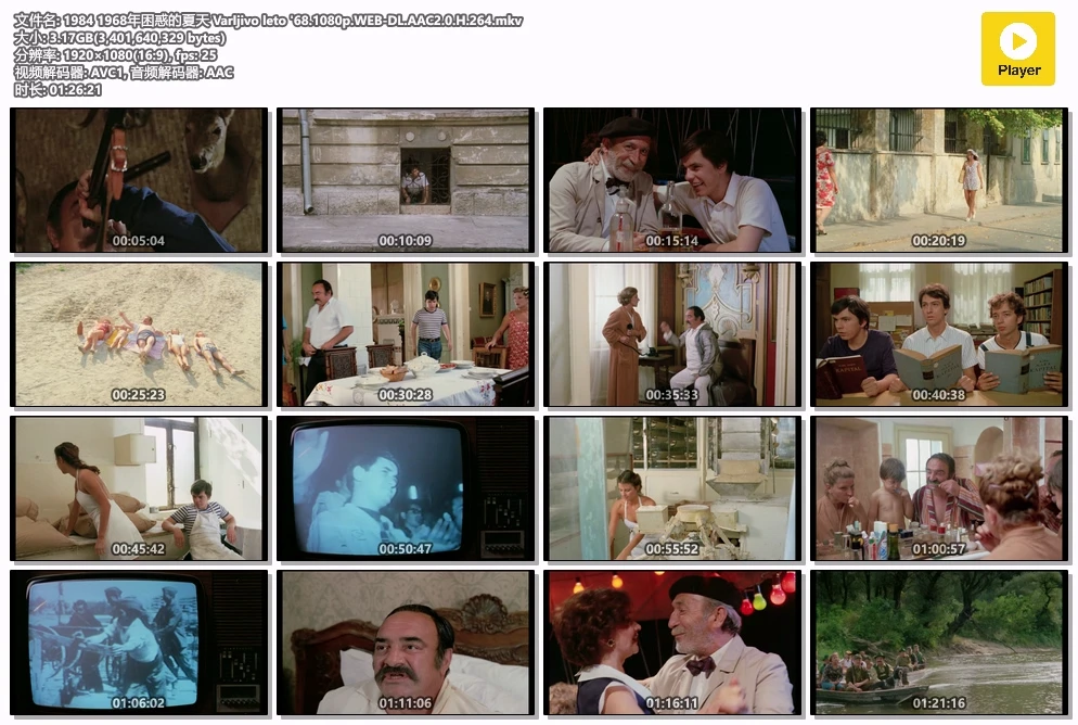 1984 1968年困惑的夏天 Varljivo leto '68.1080p.WEB-DL.AAC2.0.H.264.mkv.webp