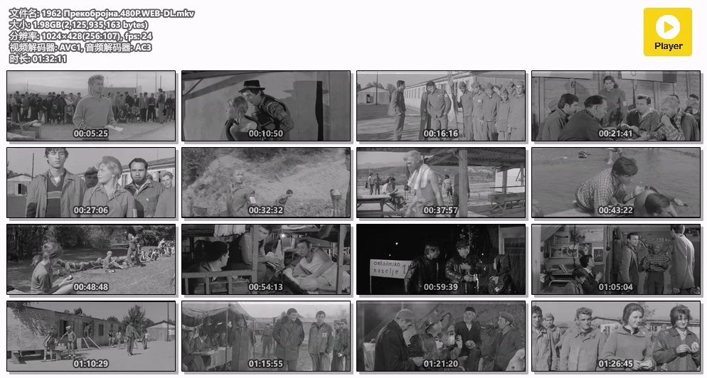 1962 Прекобројна.480P.WEB-DL.mkv.webp