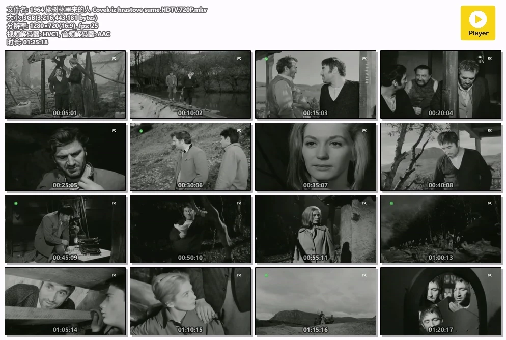 1964 橡树林里来的人 Covek iz hrastove sume.HDTV.720P.mkv.webp