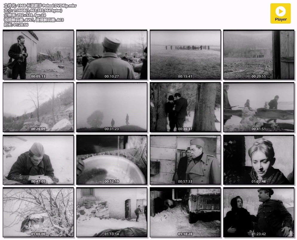 1968 长途跋涉 Pohod.DVDRip.mkv.webp