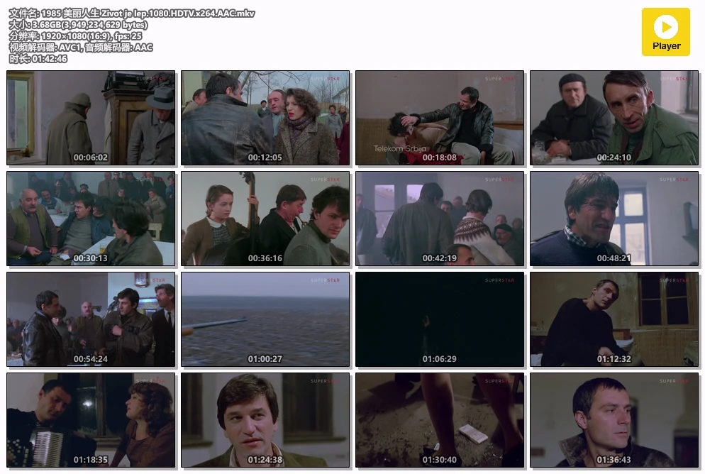 1985 美丽人生 Zivot je lep.1080.HDTV.x264.AAC.mkv.webp