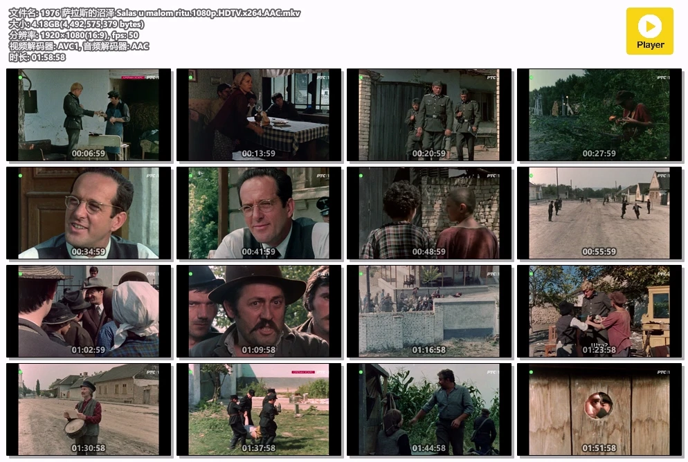 1976 萨拉斯的沼泽 Salas u malom ritu.1080p.HDTV.x264.AAC.mkv.webp