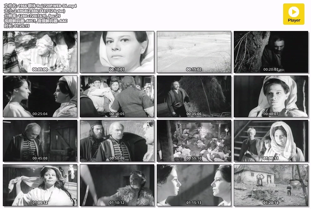 1966 群体 Roj.720P.WEB-DL.mp4.webp