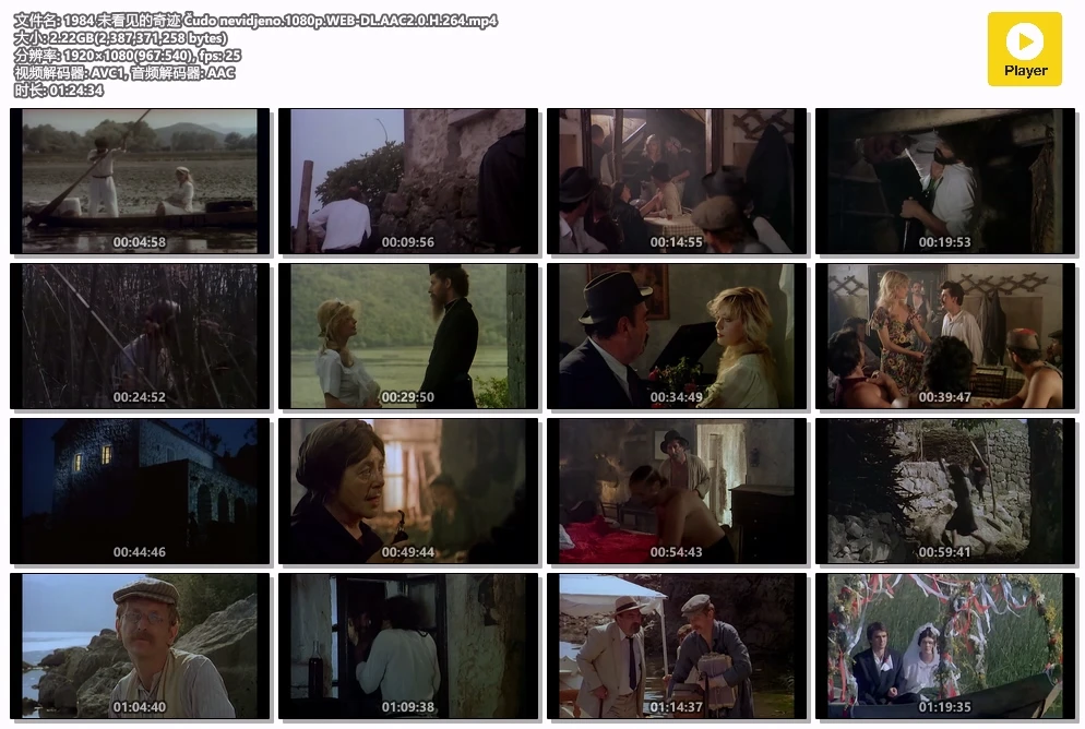 1984 未看见的奇迹 Čudo nevidjeno.1080p.WEB-DL.AAC2.0.H.264.mp4.webp