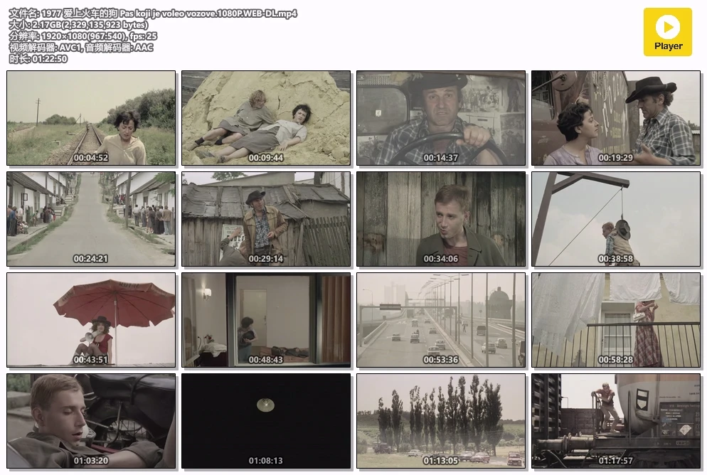 1977 爱上火车的狗 Pas koji je voleo vozove.1080P.WEB-DL.mp4.webp