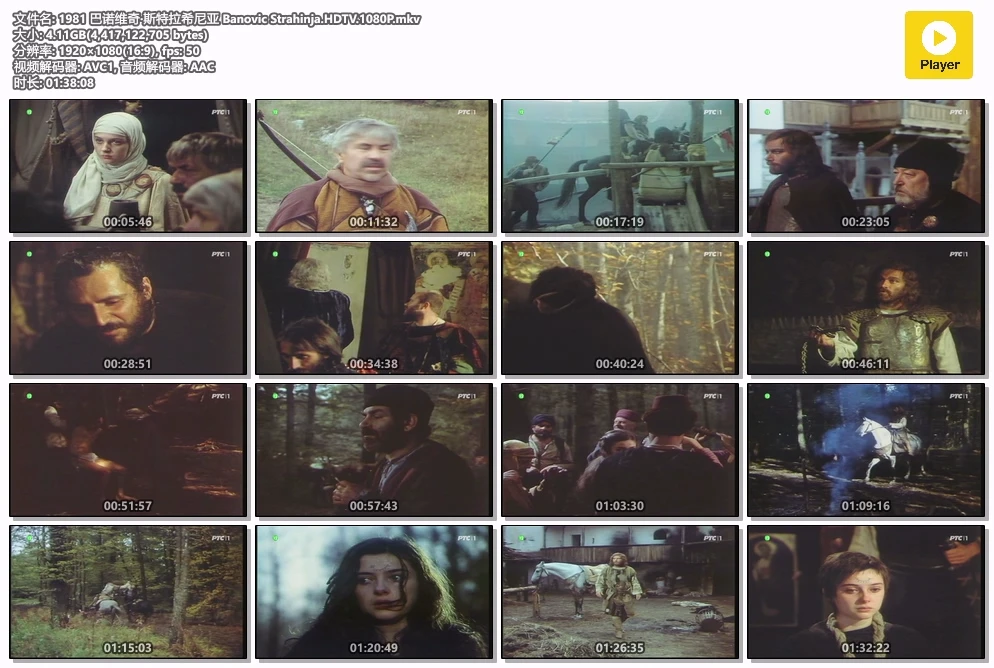 1981 巴诺维奇·斯特拉希尼亚 Banovic Strahinja.HDTV.1080P.mkv.webp