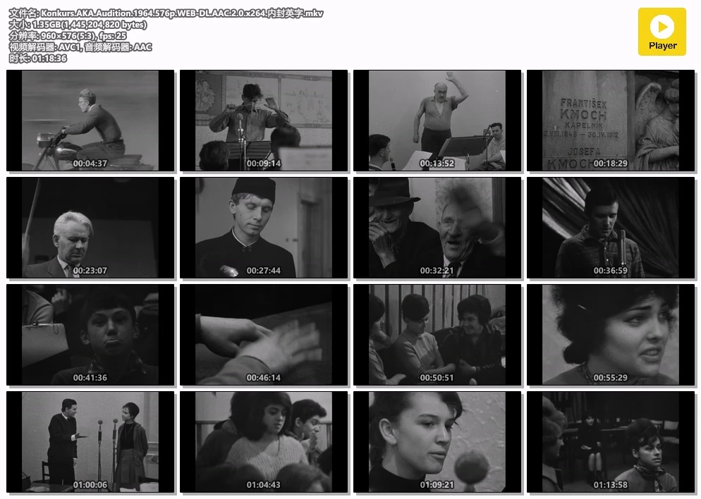 Konkurs.AKA.Audition.1964.576p.WEB-DL.AAC.2.0.x264.内封英字.mkv.webp