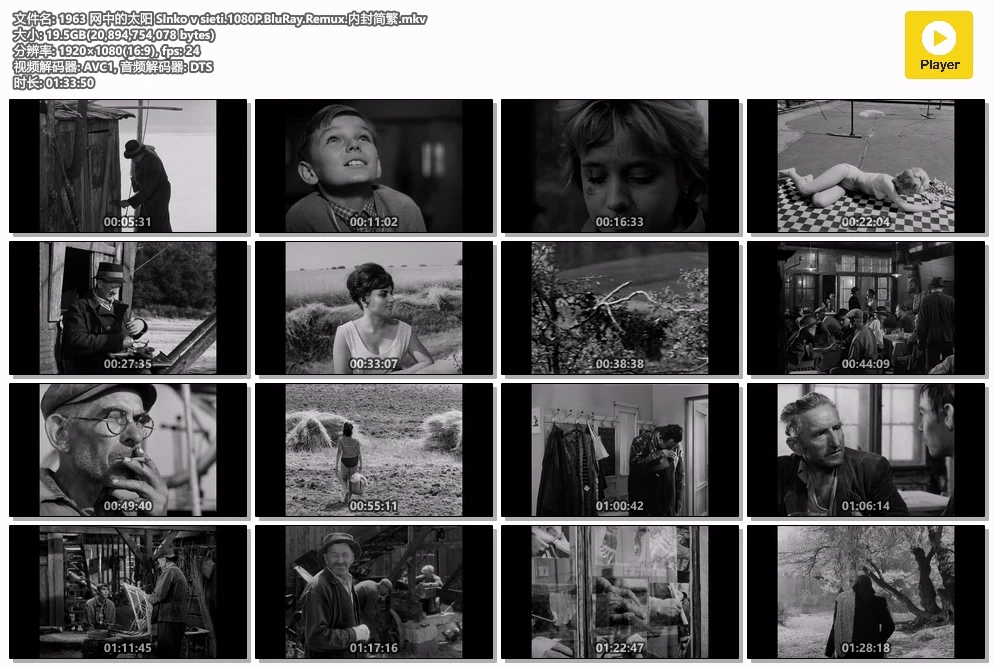 1963 网中的太阳 Slnko v sieti.1080P.BluRay.Remux.内封简繁.mkv.webp