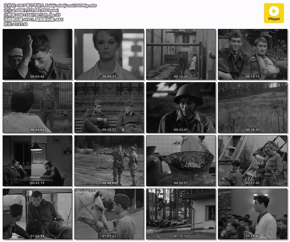 1967 每个年轻人 Každý mladý muž.DVDRip.mkv.webp