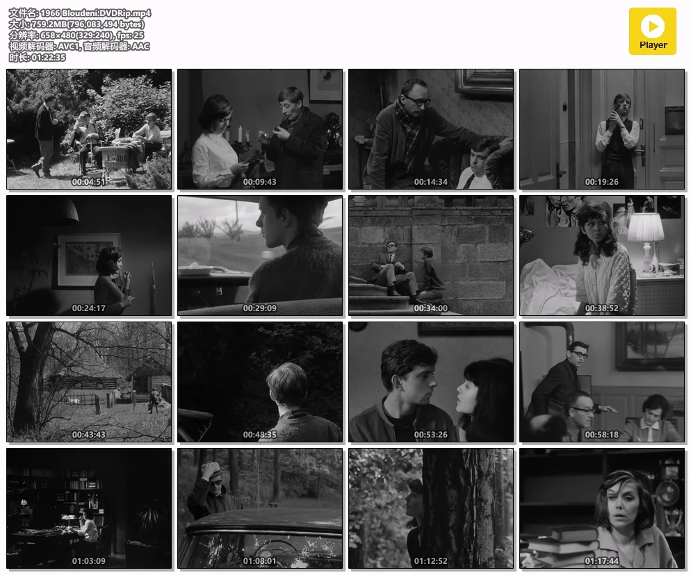 1966 Bloudení.DVDRip.mp4.webp