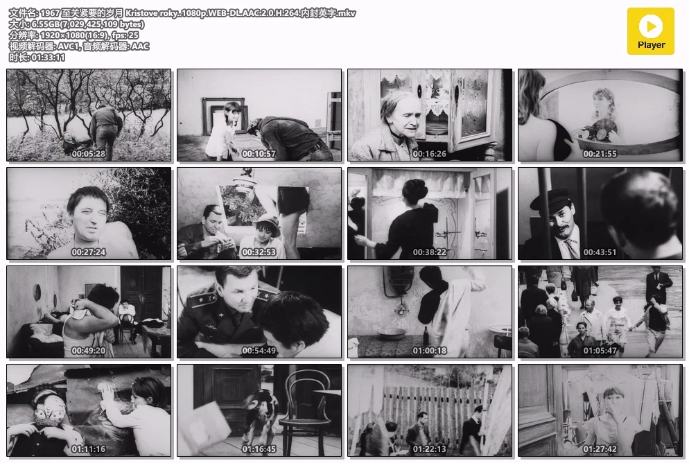 1967 至关紧要的岁月 Kristove roky..1080p.WEB-DL.AAC.2.0.H.264.内封英字.mkv.webp