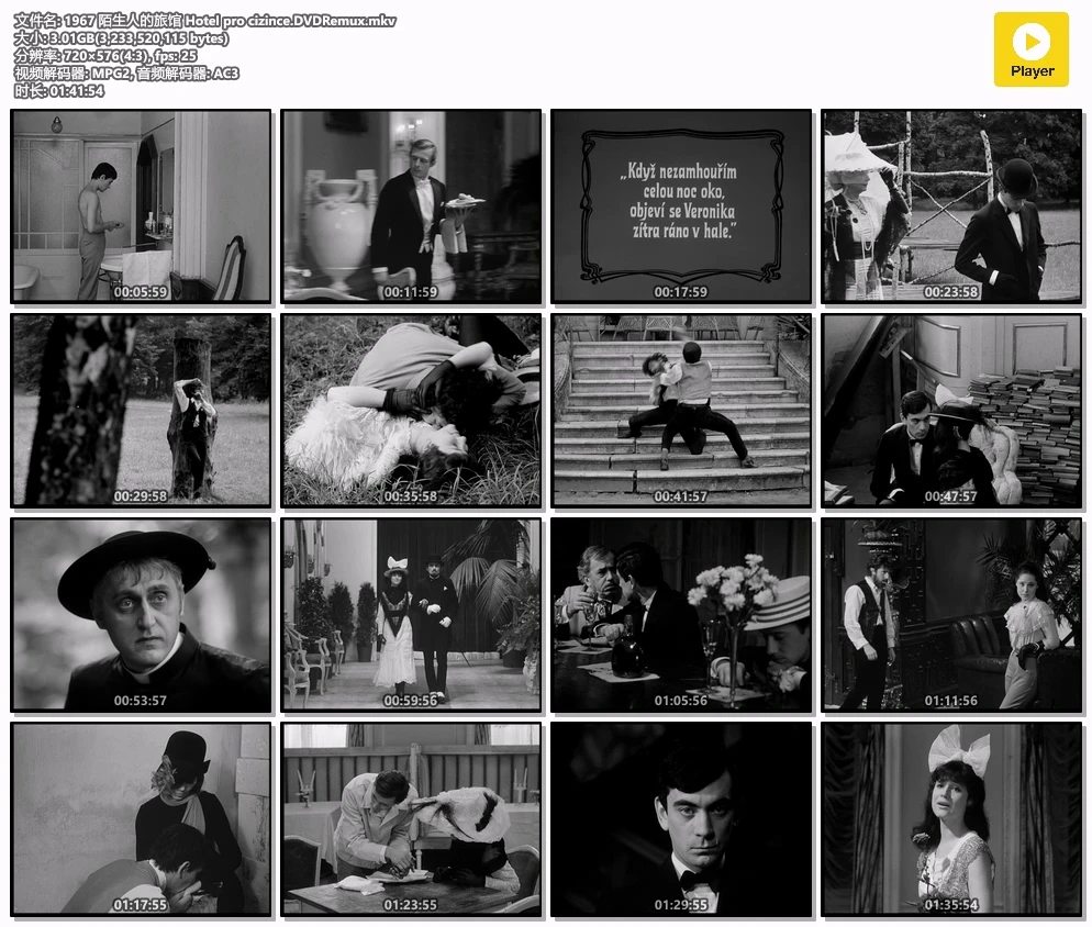 1967 陌生人的旅馆 Hotel pro cizince.DVDRemux.mkv.webp