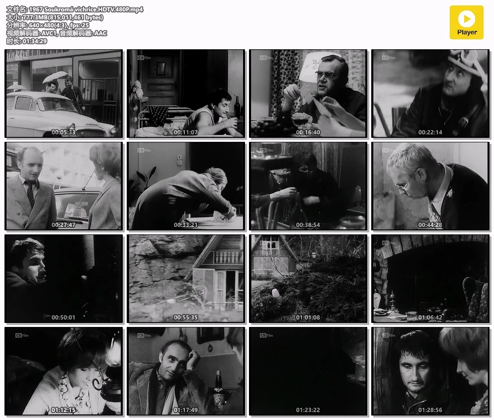 1967 Soukromá vichrice.HDTV.480P.mp4.webp