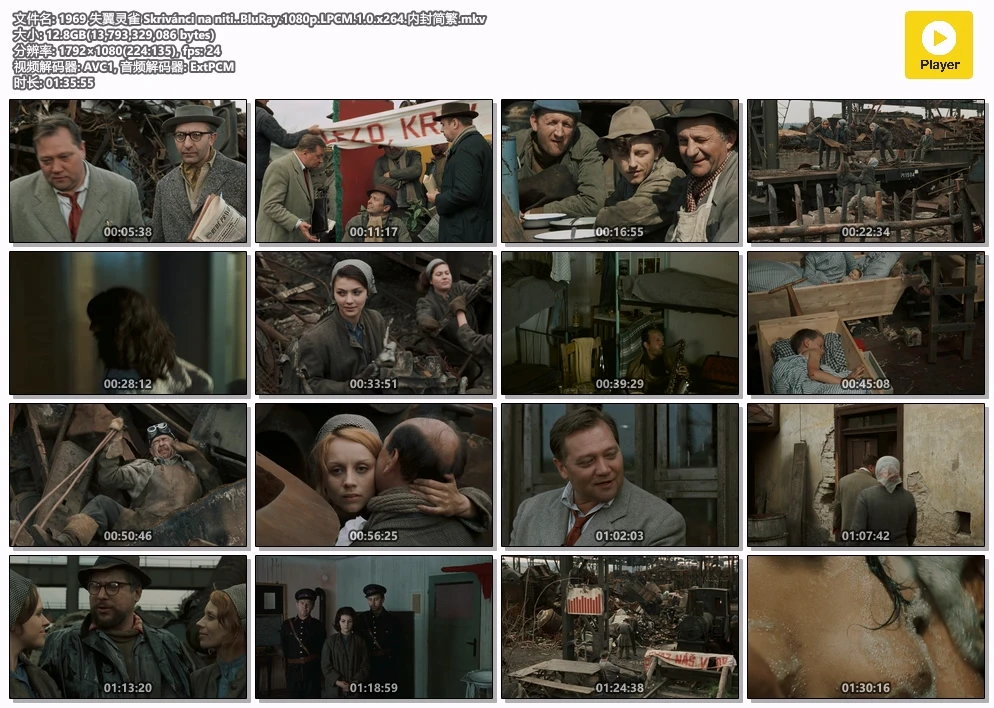 1969 失翼灵雀 Skrivánci na niti..BluRay.1080p.LPCM.1.0.x264.内封简繁.mkv.webp