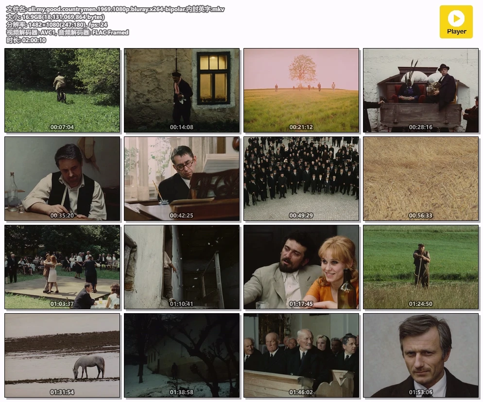 all.my.good.countrymen.1969.1080p.bluray.x264-bipolar.内封英字.mkv.webp