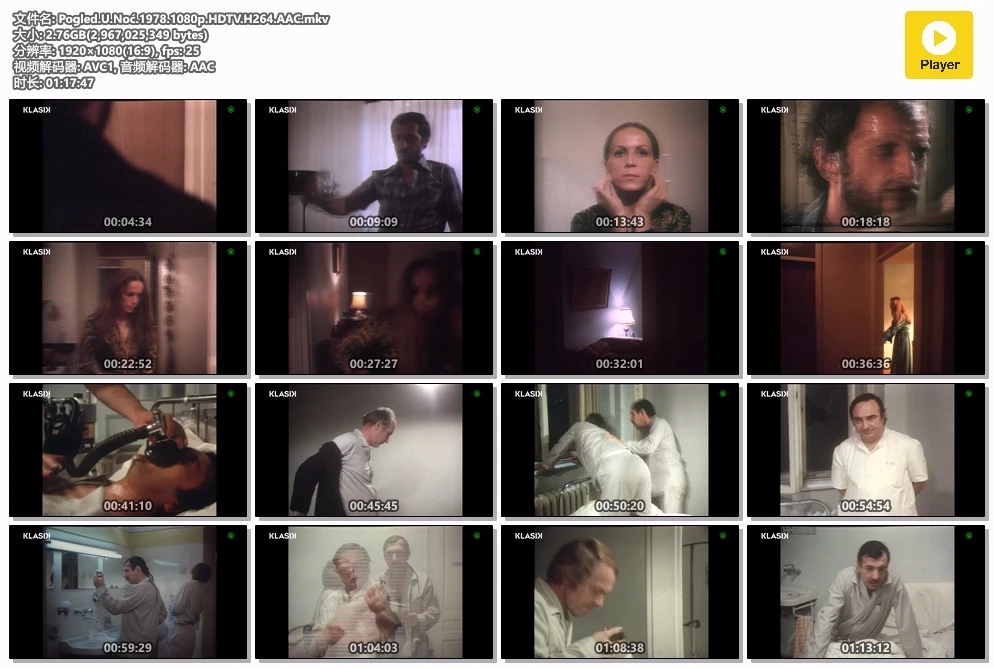 Pogled.U.Noć.1978.1080p.HDTV.H264.AAC.mkv.webp