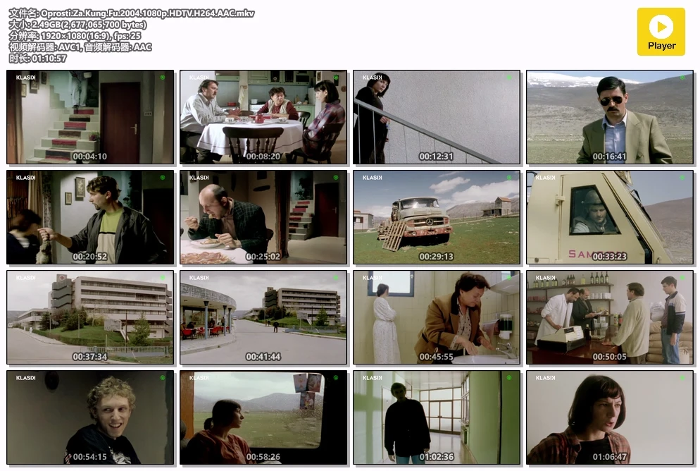 Oprosti.Za.Kung.Fu.2004.1080p.HDTV.H264.AAC.mkv.webp