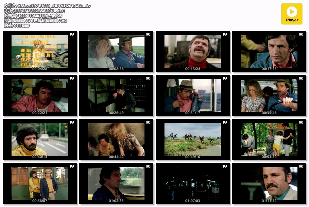 Košava.1974.1080p.HDTV.H264.AAC.mkv.webp