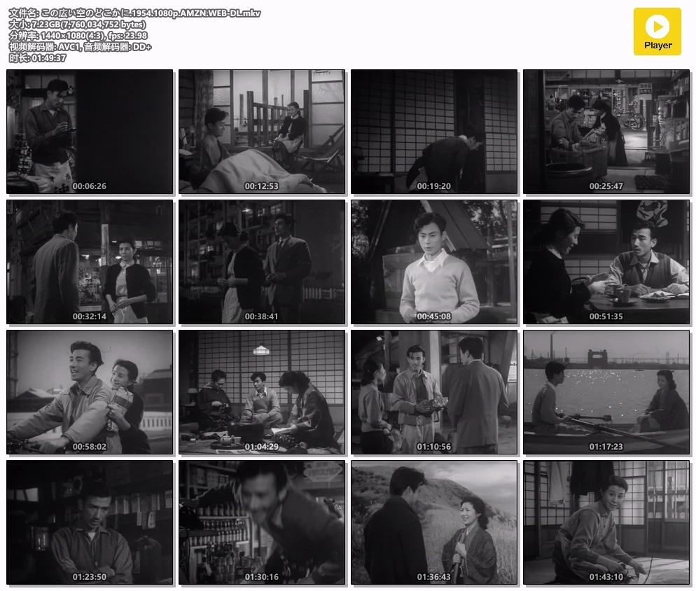 この広い空のどこかに.1954.1080p.AMZN.WEB-DL.mkv.webp