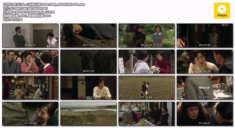 まぼろしの邪馬台国.2008.1080p.AMZN.WEB-DL.mkv.webp